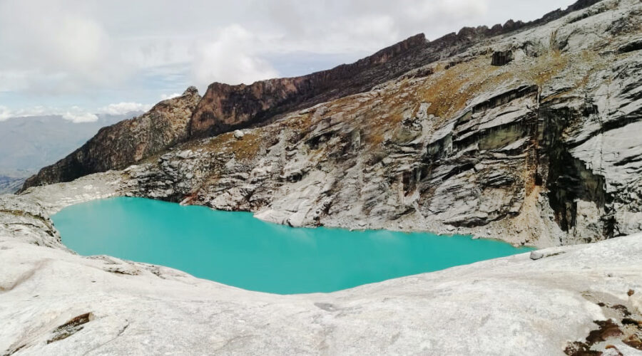 Laguna 513