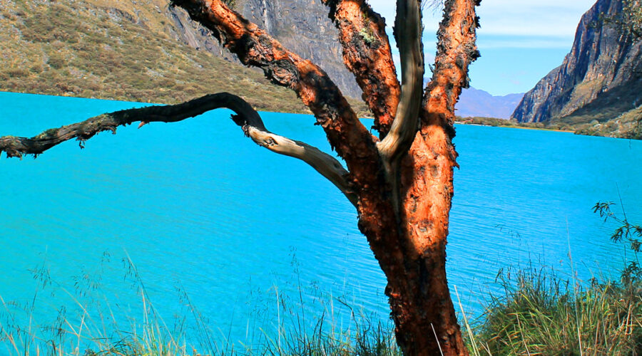 Laguna Llanganuco Tours